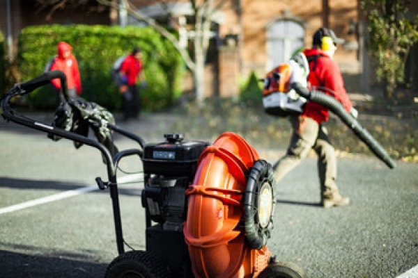 Handheld / Backpack Blower Service